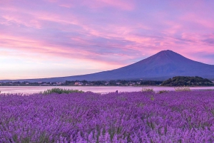 Tokyo: escursione di un giorno al Monte Fuji con soste panoramiche e locali