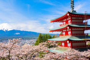 Tokyo: escursione di un giorno al Monte Fuji con soste panoramiche e locali