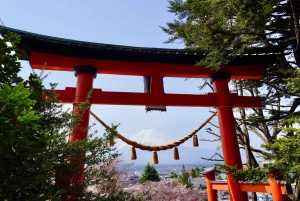 Tokyo: escursione di un giorno al Monte Fuji con soste panoramiche e locali