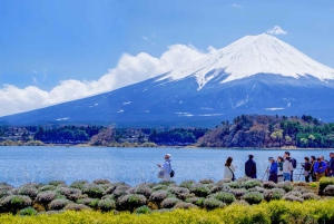 Tokyo: escursione di un giorno al Monte Fuji con soste panoramiche e locali