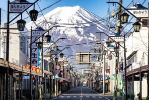 富士山の6大名所：大石公園、忍野八海など