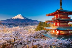 富士山の6大名所：大石公園、忍野八海など