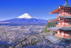 Tokyo: Fujibjerget og Kawaguchisøen – tur i lille gruppe – 6 steder