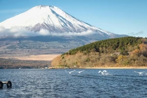 Tokyo: Fujibjerget og Kawaguchisøen – tur i lille gruppe – 6 steder
