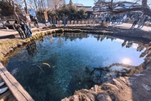 Tokyo: Fujibjerget og Kawaguchisøen – tur i lille gruppe – 6 steder