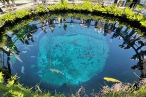 Tokyo: Fujibjerget og Kawaguchisøen – tur i lille gruppe – 6 steder