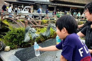 Tokyo: Fujibjerget og Kawaguchisøen – tur i lille gruppe – 6 steder