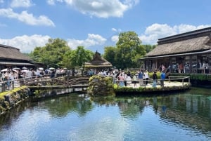 Tokyo: Fujibjerget og Kawaguchisøen – tur i lille gruppe – 6 steder