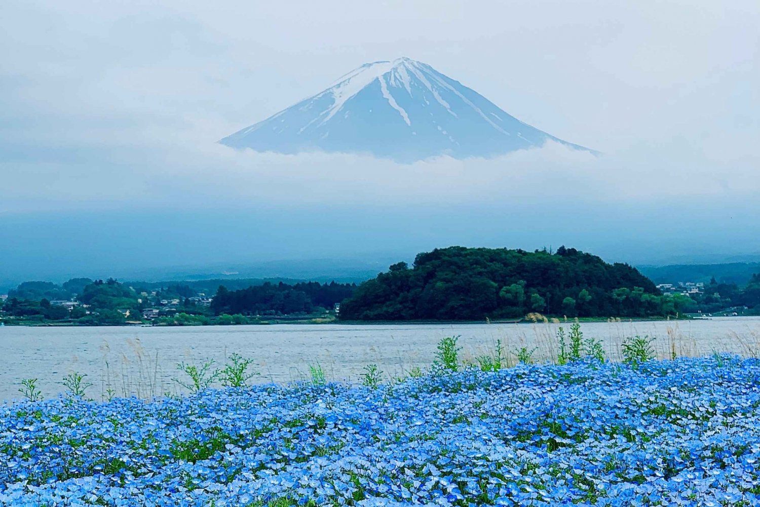 Tóquio: Monte Fuji e Hakone - Viagem guiada privada e personalizada