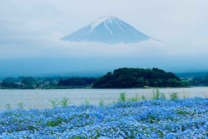 Tokio: Monte Fuji y Hakone Viaje Privado Guiado a Medida