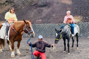 Tokio: Monte Fuji y Hakone Viaje Privado Guiado a Medida