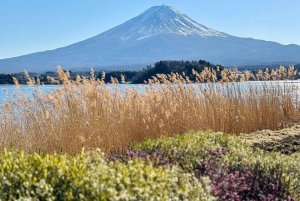 Tokio: Monte Fuji y Hakone Viaje Privado Guiado a Medida