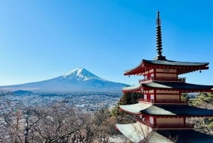 Tokio: Monte Fuji y Hakone Viaje Privado Guiado a Medida