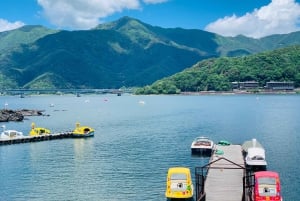 Tokio: Monte Fuji y Hakone Viaje Privado Guiado a Medida