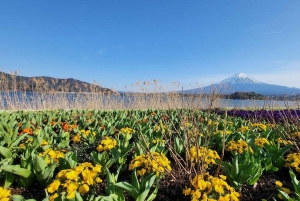 Tokio: Monte Fuji y Hakone Viaje Privado Guiado a Medida