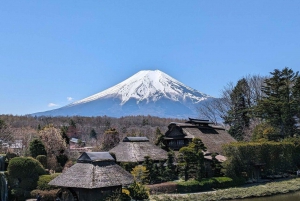 Tokio: Monte Fuji y Hakone Viaje Privado Guiado a Medida