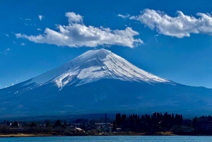 Tokio: Monte Fuji y Hakone Viaje Privado Guiado a Medida