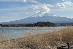 Tokio: Monte Fuji y Hakone Viaje Privado Guiado a Medida