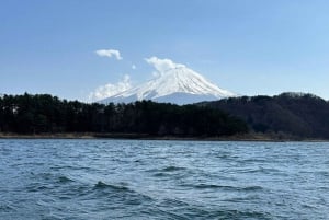 Tokio: Monte Fuji y Hakone Viaje Privado Guiado a Medida