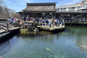 Tokio: Monte Fuji y Hakone Viaje Privado Guiado a Medida