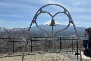 Tokio: Monte Fuji y Hakone Viaje Privado Guiado a Medida