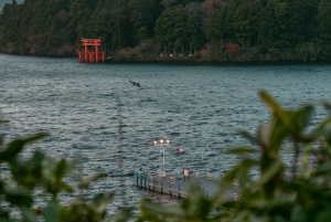 Tokio: Monte Fuji y Hakone Viaje Privado Guiado a Medida