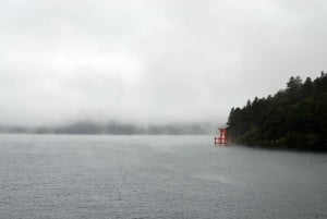 Tokio: Monte Fuji y Hakone Viaje Privado Guiado a Medida