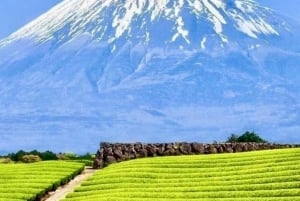 Tokio: Monte Fuji y Hakone Viaje Privado Guiado a Medida