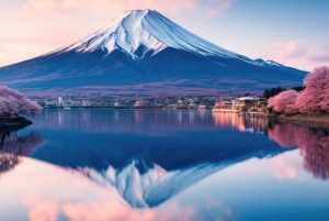 Tokio: Yksityinen, räätälöitävä Fuji-vuoren kierros luksuspakettiautolla