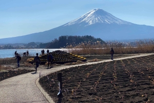 Tokio: Yksityinen, räätälöitävä Fuji-vuoren kierros luksuspakettiautolla