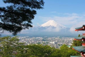 Tokyo: Mount Fuji Private Tour with Scenic Lunch Experience