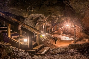 Tokyo: Mount Fuji Private Tour with Scenic Lunch Experience