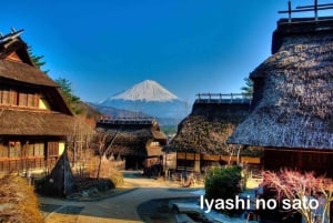 Tokyo: Mount Fuji Private Tour with Scenic Lunch Experience