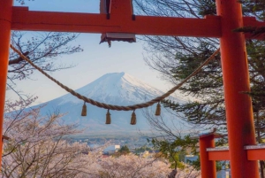 Tokyo: Mount Fuji Private Tour with Scenic Lunch Experience