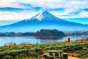 De Tóquio: Excursão privada personalizável de 1 dia ao Monte Fuji