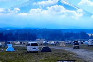 De Tóquio: Excursão privada personalizável de 1 dia ao Monte Fuji