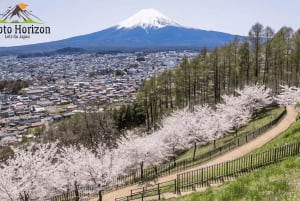 De Tóquio: Excursão privada personalizável de 1 dia ao Monte Fuji