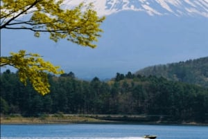 De Tóquio: Excursão privada personalizável de 1 dia ao Monte Fuji