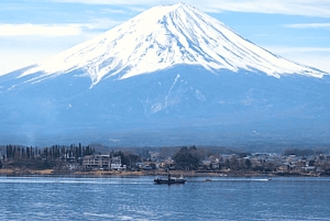De Tóquio: Excursão privada personalizável de 1 dia ao Monte Fuji