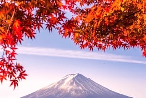 De Tóquio: Excursão privada personalizável de 1 dia ao Monte Fuji