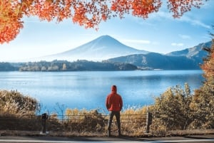 De Tóquio: Excursão privada personalizável de 1 dia ao Monte Fuji