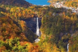 De Tóquio: Excursão privada personalizável de 1 dia ao Monte Fuji