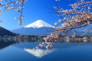 Från Tokyo: Privat dagsutflykt till berget Fuji och Fuji Five Lakes