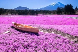 Tokyo: Escursione al Monte Fuji, al lago Yamanaka e al lago Kawaguchiko