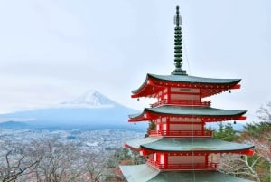 Tokyo: Escursione al Monte Fuji, al lago Yamanaka e al lago Kawaguchiko