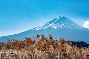 Tokyo: Escursione al Monte Fuji, al lago Yamanaka e al lago Kawaguchiko