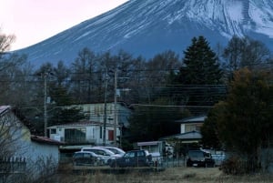 Tokyo: Escursione al Monte Fuji, al lago Yamanaka e al lago Kawaguchiko