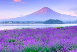 Tokyo: Escursione al Monte Fuji, al lago Yamanaka e al lago Kawaguchiko