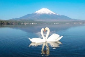 Tokyo: Escursione al Monte Fuji, al lago Yamanaka e al lago Kawaguchiko