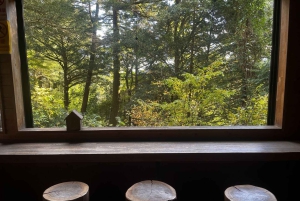 東京高尾山ガイド付きハイキングツアー